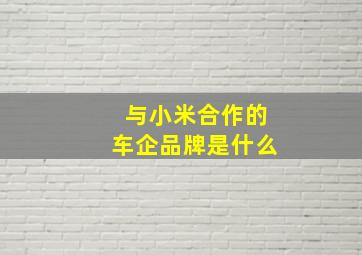 与小米合作的车企品牌是什么