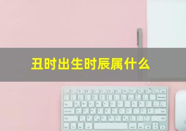 丑时出生时辰属什么