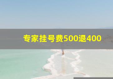 专家挂号费500退400