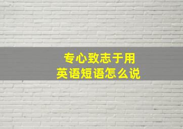 专心致志于用英语短语怎么说