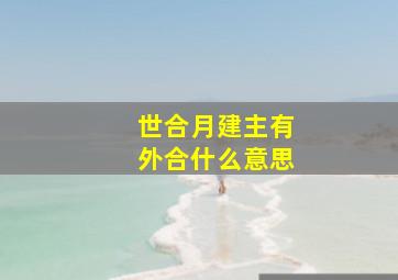 世合月建主有外合什么意思