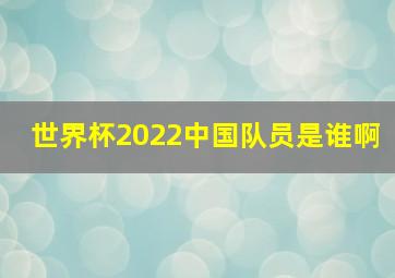 世界杯2022中国队员是谁啊