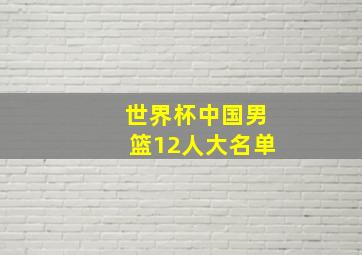 世界杯中国男篮12人大名单