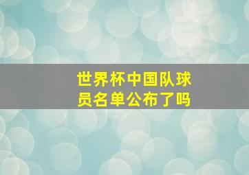 世界杯中国队球员名单公布了吗