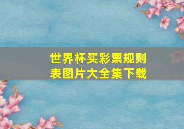 世界杯买彩票规则表图片大全集下载