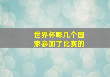 世界杯哪几个国家参加了比赛的