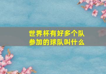 世界杯有好多个队参加的球队叫什么