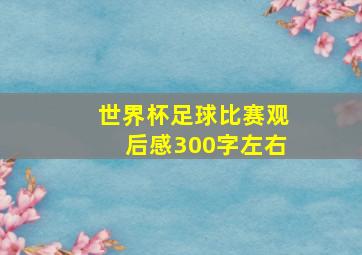 世界杯足球比赛观后感300字左右