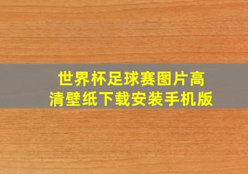 世界杯足球赛图片高清壁纸下载安装手机版