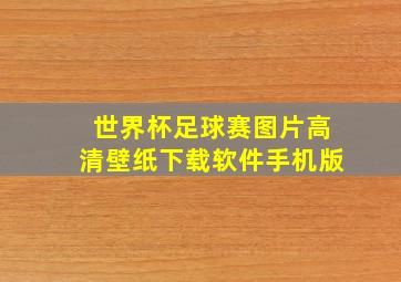 世界杯足球赛图片高清壁纸下载软件手机版