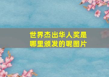 世界杰出华人奖是哪里颁发的呢图片