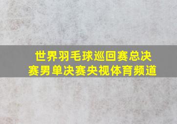 世界羽毛球巡回赛总决赛男单决赛央视体育频道