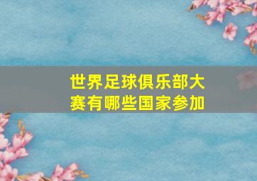 世界足球俱乐部大赛有哪些国家参加