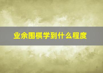 业余围棋学到什么程度