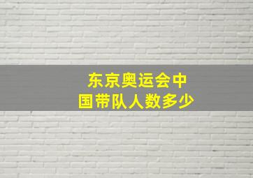 东京奥运会中国带队人数多少