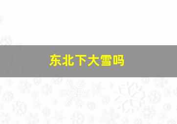 东北下大雪吗