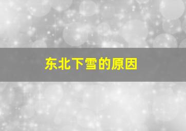 东北下雪的原因