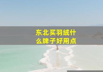 东北买羽绒什么牌子好用点