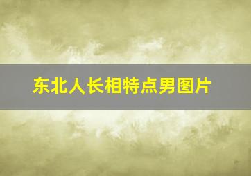 东北人长相特点男图片