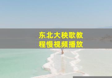 东北大秧歌教程慢视频播放