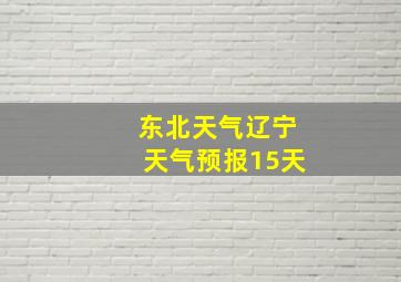 东北天气辽宁天气预报15天