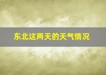 东北这两天的天气情况