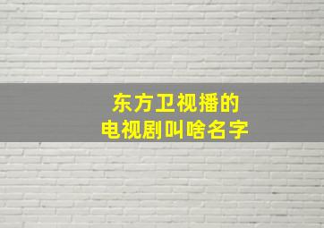 东方卫视播的电视剧叫啥名字