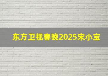 东方卫视春晚2025宋小宝