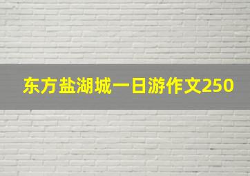 东方盐湖城一日游作文250