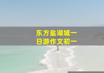 东方盐湖城一日游作文初一