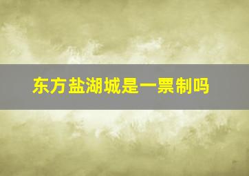 东方盐湖城是一票制吗