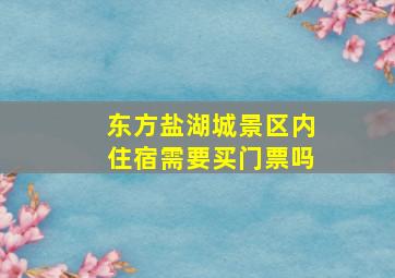 东方盐湖城景区内住宿需要买门票吗