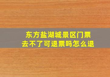 东方盐湖城景区门票去不了可退票吗怎么退