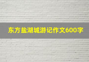 东方盐湖城游记作文600字