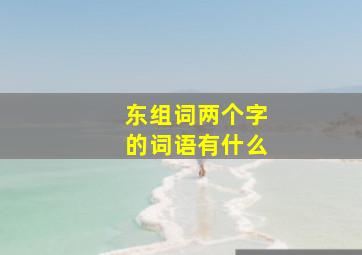 东组词两个字的词语有什么