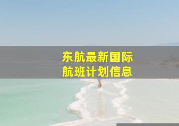 东航最新国际航班计划信息