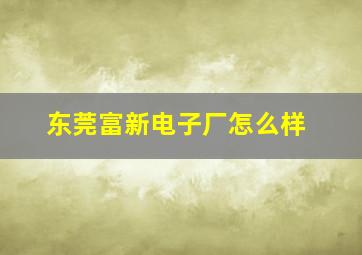 东莞富新电子厂怎么样