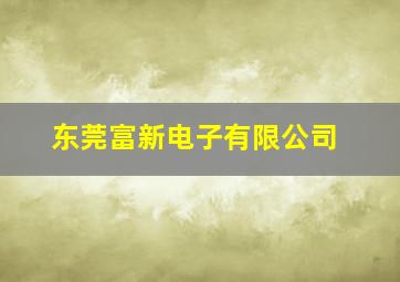 东莞富新电子有限公司