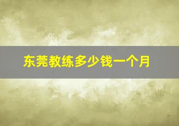 东莞教练多少钱一个月