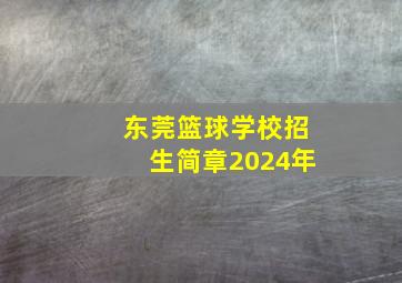 东莞篮球学校招生简章2024年