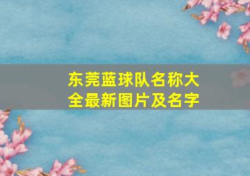 东莞蓝球队名称大全最新图片及名字