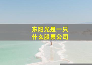 东阳光是一只什么股票公司