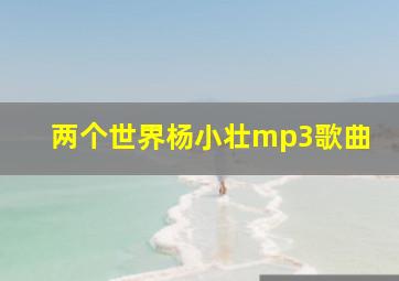 两个世界杨小壮mp3歌曲