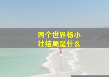 两个世界杨小壮结局是什么