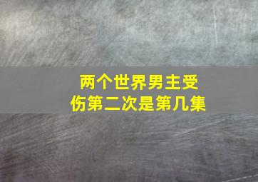 两个世界男主受伤第二次是第几集