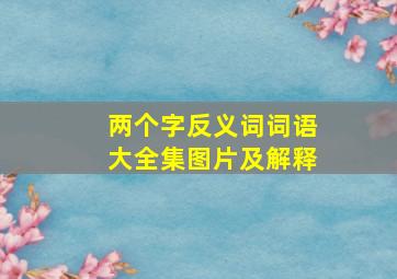 两个字反义词词语大全集图片及解释