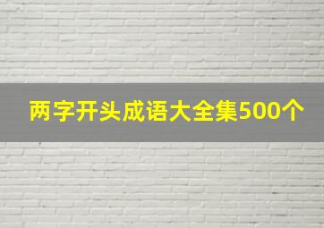 两字开头成语大全集500个