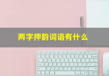 两字押韵词语有什么