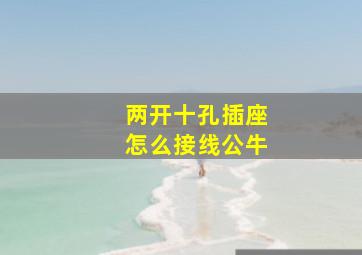 两开十孔插座怎么接线公牛