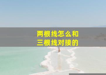 两根线怎么和三根线对接的